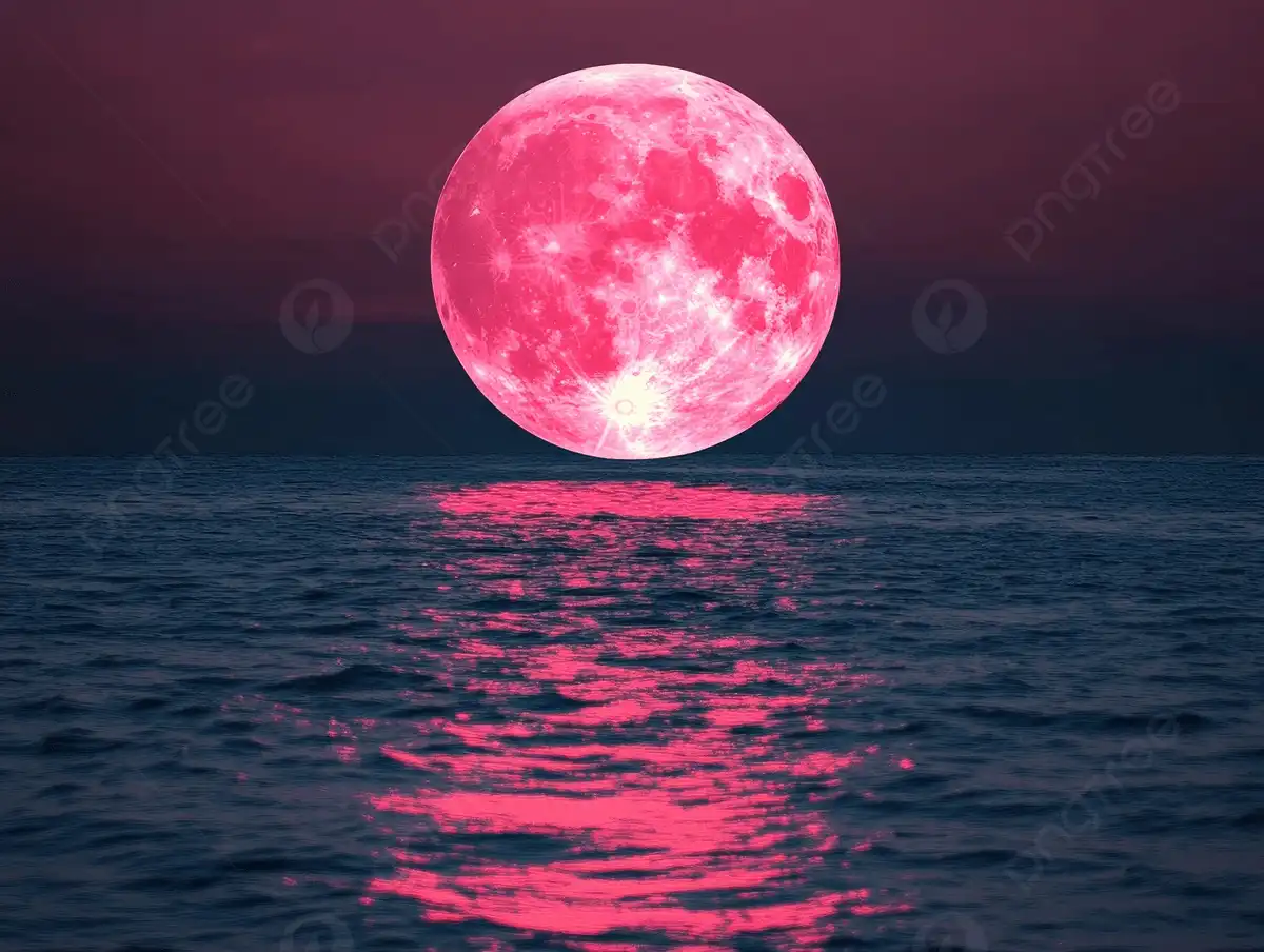 القمر الوردي 2026